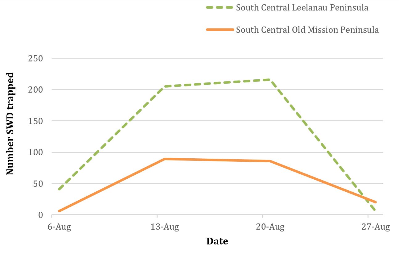 Figure 3 Number of SWD trapped at vineyard borders in Leelanau and Old Mission Peninsulas